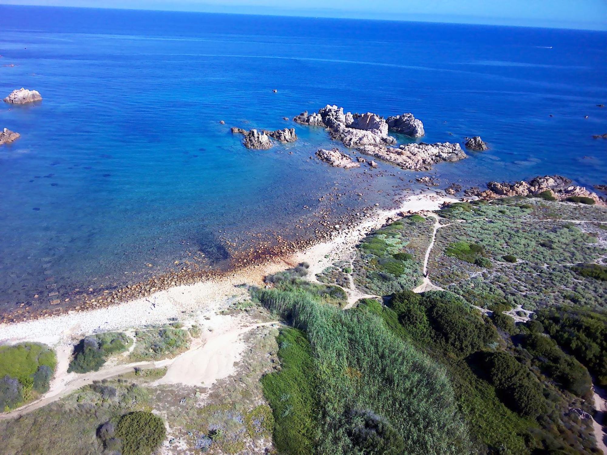 Gli Oleandri Di Calarossa - 5M Walk To The Beach Isola Rossa Exteriör bild
