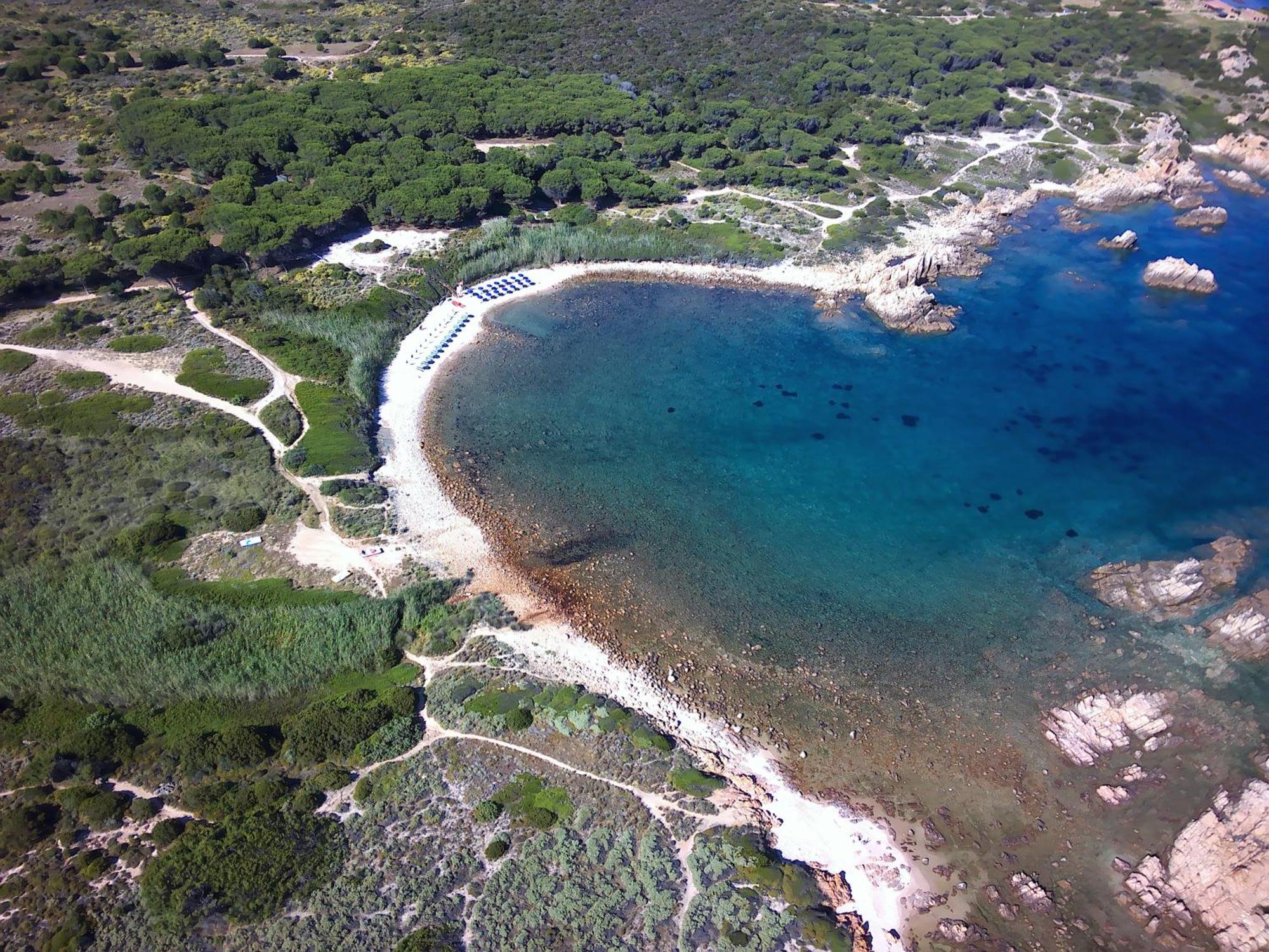Gli Oleandri Di Calarossa - 5M Walk To The Beach Isola Rossa Exteriör bild